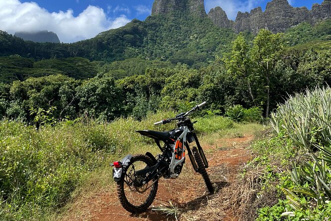 Unique excursion to Moorea on a 100% electric motorbike - Riding through pineapple fields and forest