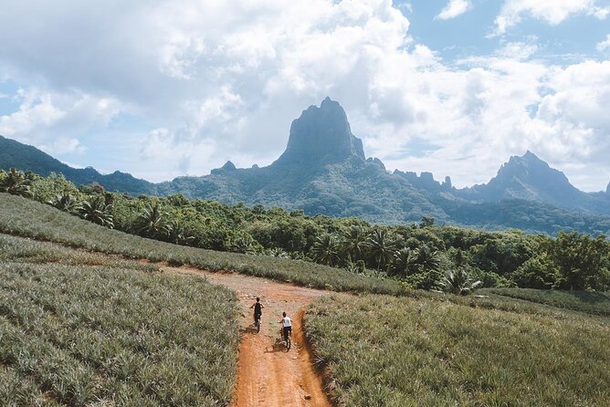 Unique excursion to Moorea on a 100% electric motorbike - Starting near Ōpūnohu Bay
