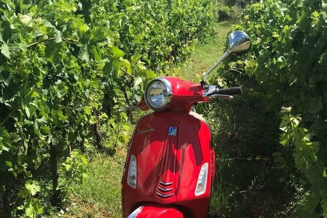 Vespa Motorcycle rental in Florence - Picking up at Via Ventisette Aprile