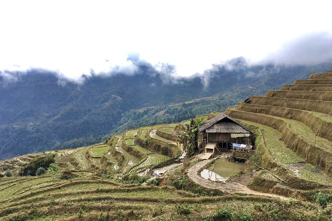 Vietnam Motorbike Tour To Sapa, Mu Cang Chai, Thac Ba-5 Days - Who should book this ride