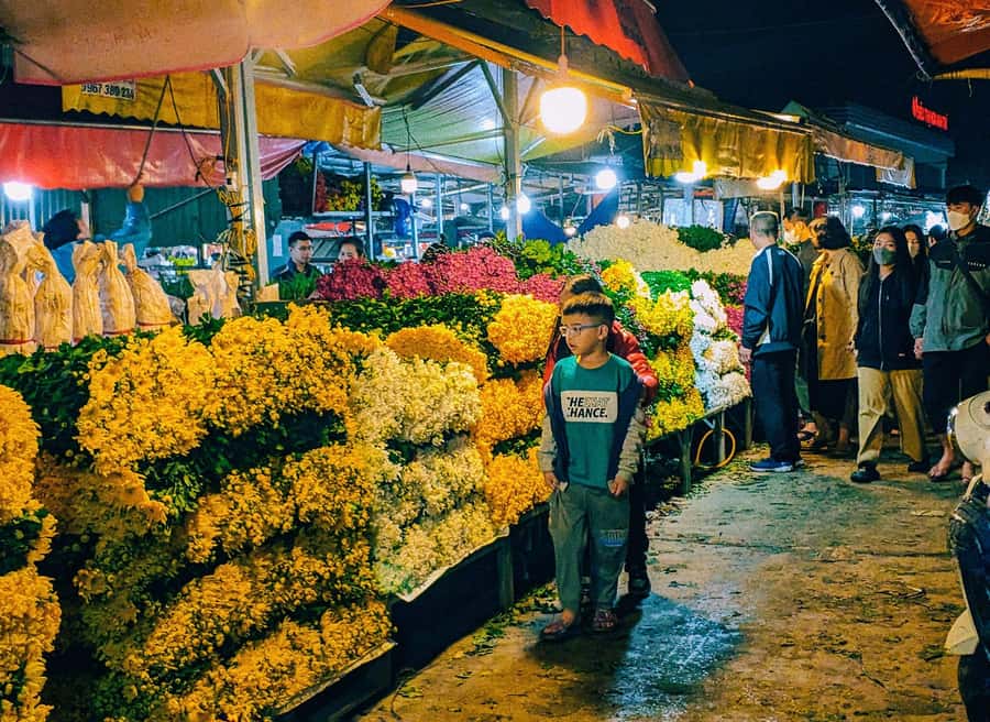 Visit 5 Districts & The Hidden Gems In Saigon By Motorbike - Why a motorbike is the right way to see Saigon
