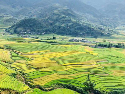Visit all place in Sa Pa with easy riders