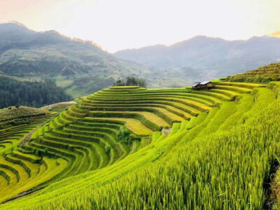 Visit Villages, Terrace Rice Field with Easy Riders half day