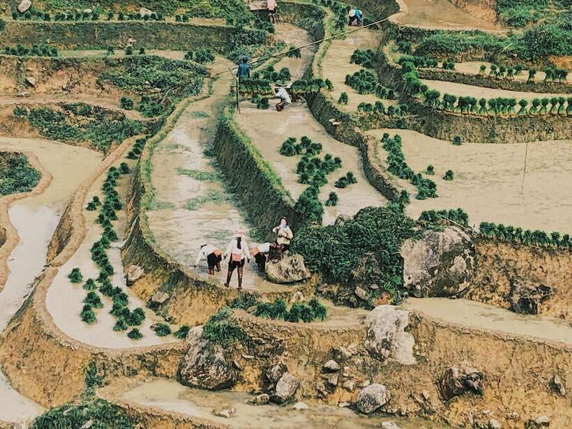 Visit Villages, Terrace Rice Field with Easy Riders half day - Ta Van Village and the final valley stop