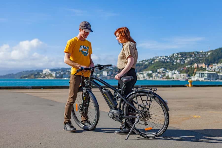 Wellington: Easy Rider Guided eBike Tour - Te Papa and Wellington’s waterfront