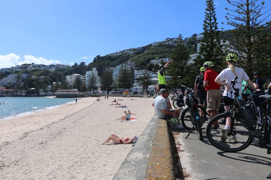 Wellington: Easy Rider Guided eBike Tour - Who will enjoy this ride most